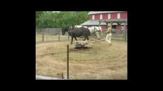 Horsepowered threshing at Slate Run Farm