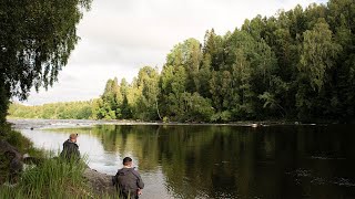 River Ljungan - Home of the Big Baltic Salmon