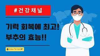 기력이 떨어질 땐 부추 한 줌! 의사들이 인정한 효능은? #건강채널