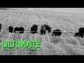 Thermal Hog Hunting with Lunkers TV