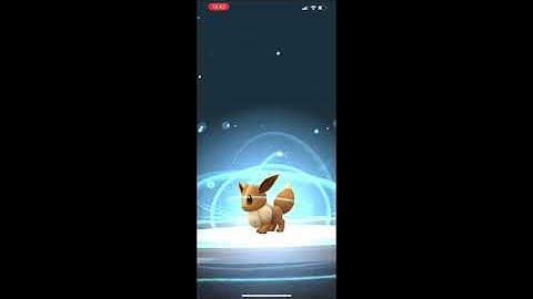 How to Evolve Eevee into Sylveon with Name Trick in Pokémon Go