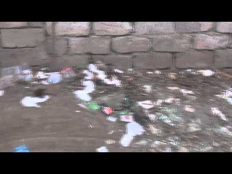 ბრიფინგი ვაკის პარკში