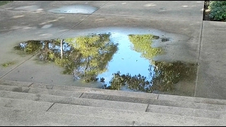 Clear rain puddle reflection