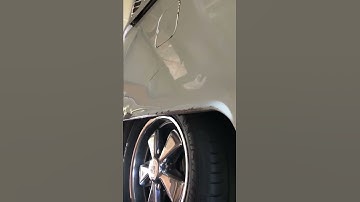 Fuchs Bags are for groceries