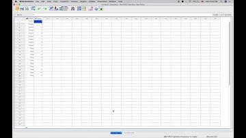 SPSS Basics 101: Entering Data, Creating Statistics and a Bar Graph