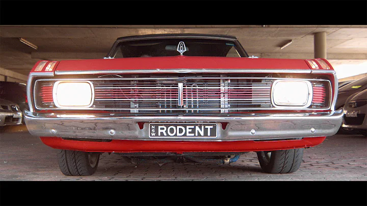 My RODE Reel 2016 - RODENT