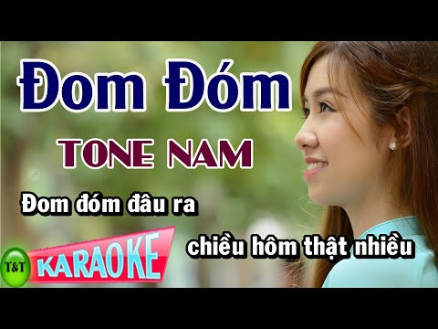 Karaoke Đom Đóm Tone Nam | Thái Tài