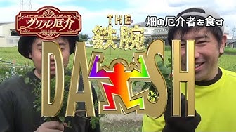 鉄腕dash Youtube