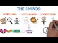 Beginning of video