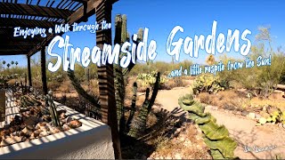Escape the Desert Sun and Discover the tranquil Streamside Garden