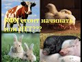 КФХ стоит начинать или Нет?