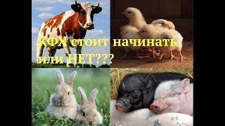 КФХ стоит начинать или Нет?