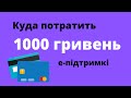 На что потратить 1000 Зеленского