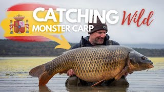 Catching Wild Monster Carp in Spain | Darrell Peck | Extract