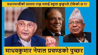 माधवकुमार नेपाल प्रचण्डको पुच्छर भए, प्रधानमन्त्रीको प्रस्ताव राख्न मलाई बहुला कुकुरले टोकेको छ र?