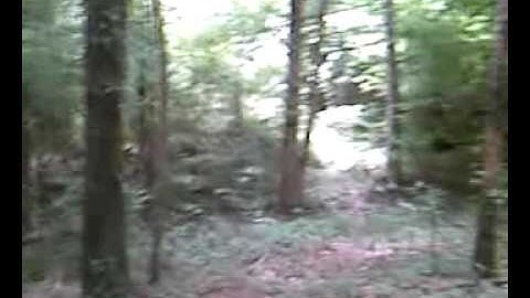 interactive video- THE EVIL JESTER! (START HERE)