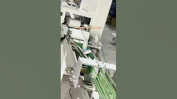 Intelligent Wallet Type Tissue Packing Machine Restaurant Used Clipped Napkin Pack | SAYOK