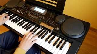 Video thumbnail of "Ale Ale Aleksandra keyboard cover"