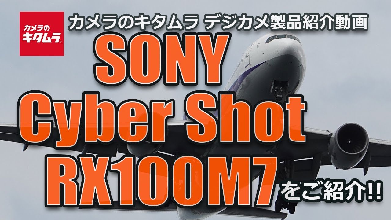 ソニー Cyber-Shot DSC-RX100M7 | コンパクトデジタルカメラ