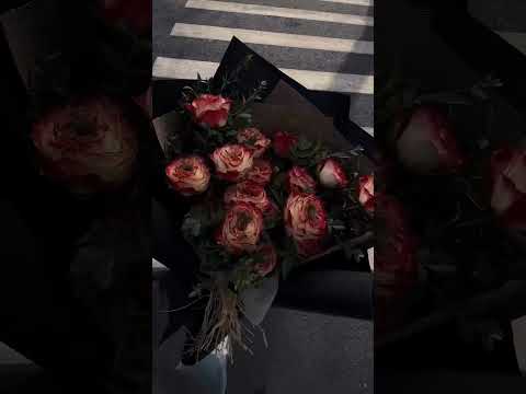 ٣٠ يونيو ٢٠٢٥