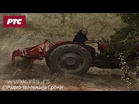 Video: Kako Odabrati Ručni Traktor? Ocjena Najboljih I Najpouzdanijih Modela, Pregled Hodnih Traktora Shtenli I Dobrynya, Stavmash I Goldoni