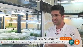 Iran Virus Free plants using tissue culture, Shiraz county كشت بافت گياهان بدون ويروس شيراز ايران
