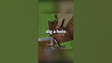 Minecraft Wandering Trader Breaks In a House