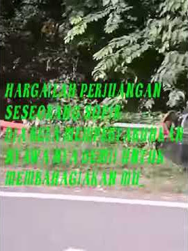 HARGAI PERJUANGAN SESEORANG SOPIR STORY WA