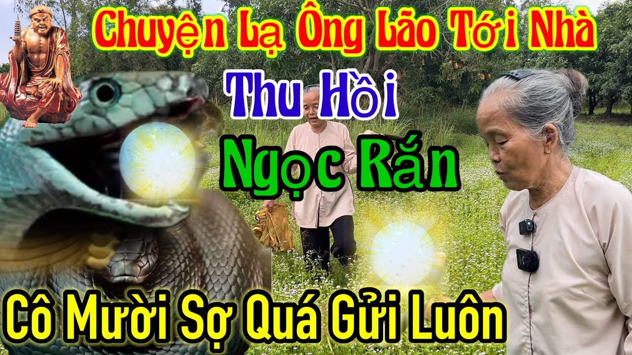 Chuyện Lạ Ông Lão đến Nhà Đòi Ngọc Rắn - Cô Mười S ợ Quá Gửi Không Dám ...