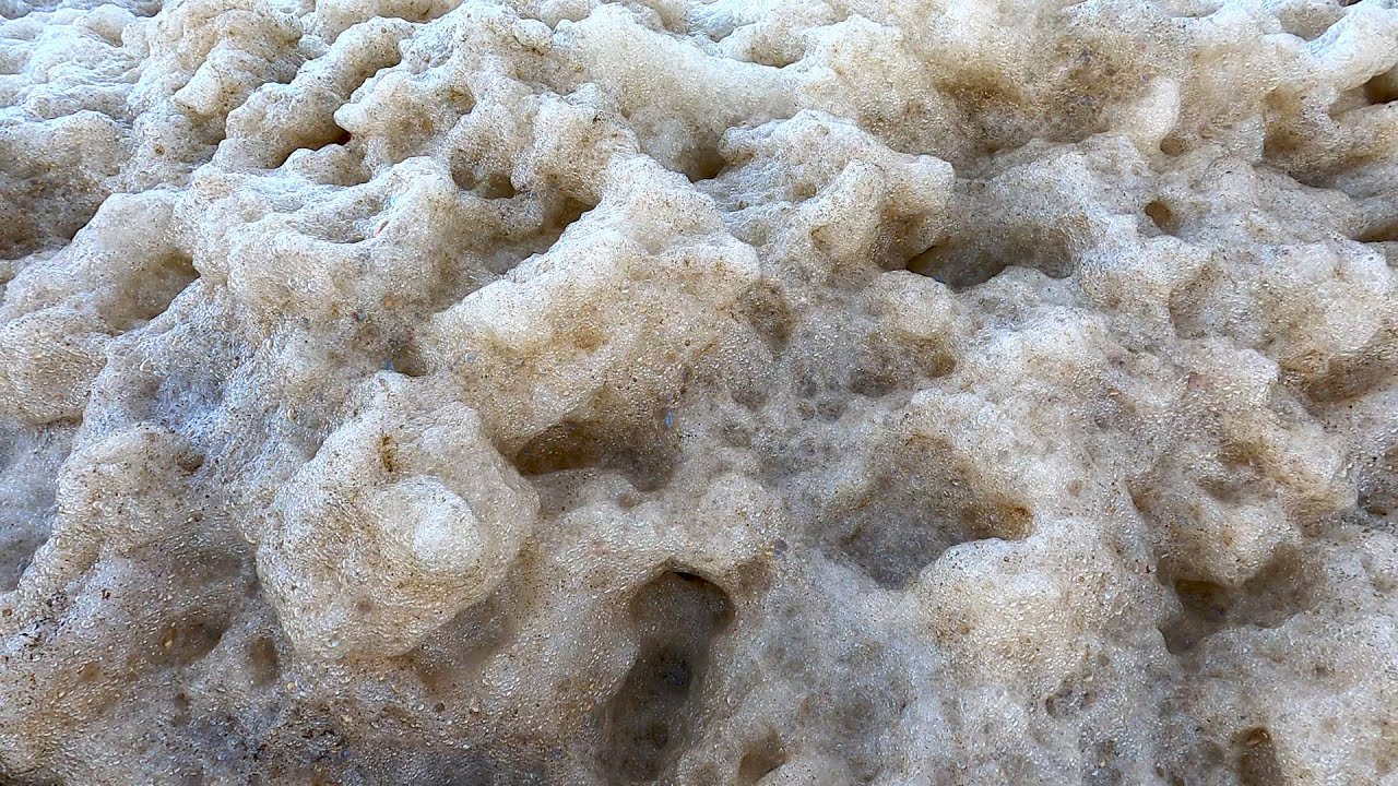 What Exactly Is Sea Foam?