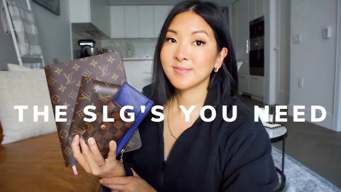louis vuitton best small leather goods｜TikTok Search