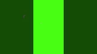 Motion elements speed line 6 free green screen effects #greenscreen #motion #shorts #speedline