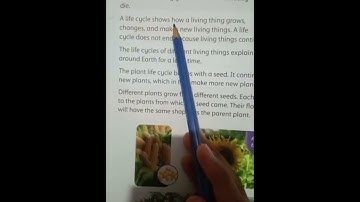 Understanding Stem class 3 Oxford Chapter 1 Life cycles of plants and animals Solved Exercise.