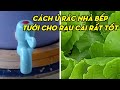 Cách ủ rác nhà bếp thành phân hữu cơ