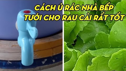 Cách ủ rác nhà bếp thành phân hữu cơ