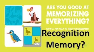 What is Recognition Memory 