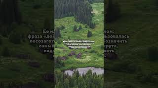 Уникальная деревня Приморского края