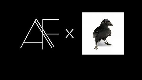 Hot Start, Cold Finish Rookie Predictions 2024 NFL: Going Deep with Brandon Angelo and Matt Waldman