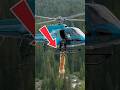 Golden Retriever warns helicopter driver of danger and saves his life #GoldenRetriever #Dog #Rescue