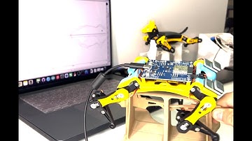 Level Up Your Bittle Development: Open Source Test Stand With Calibration | PetoiCamp