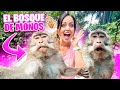 MI PRIMER ENCUENTRO CON MONOS 😱 Monkey Forest Ubud Bali 😍 Sandra Cires Art