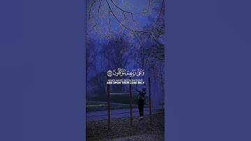 #اكتب_شي_تؤجر_عليه #قرآن #قران_كريم #راحة_نفسية#راحة#تلاوات_خاشعة#مشاهير#اكسبلور#مصر#الجزائر#العراق