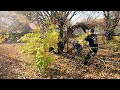 Helping Elderly Woman Get Her Yard Back In Shape - LEAF REMOVAL AND BRUSH CLEARING