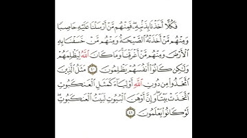 سورة العنكبوت 15 القسم الخامس عشر تكرار كيفي من .. فكلا أخذنا بذنبه .. إلى .. لو كانوا يعلمون