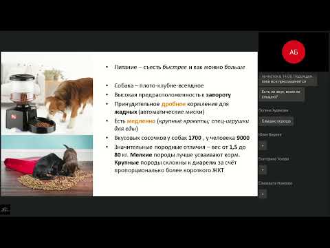 Диетология  Особенности кормления собак