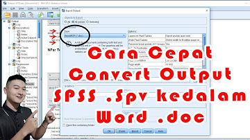 Cara Mudah Convert Output SPSS kedalam Word Skripsi