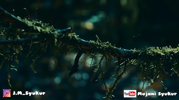 Puisi Selain Rindu - Rocky Gerung | Dibacakan Oleh: Jaja Mujani Syukur