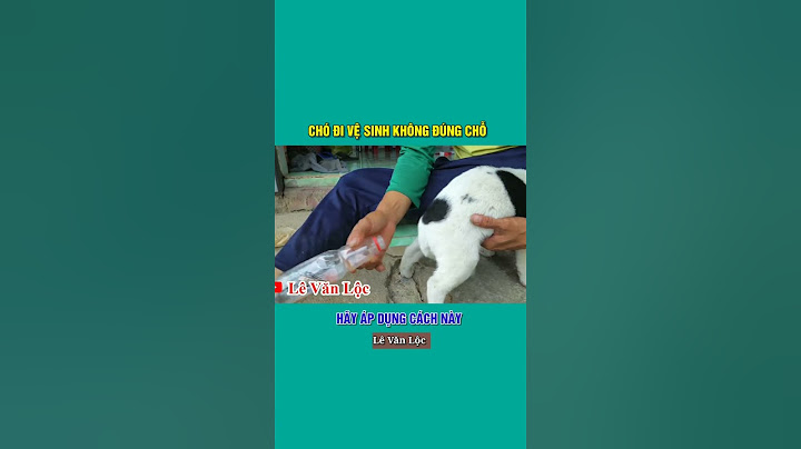 Chó Đi Vệ Sinh Không Đúng Chỗ, Hãy Áp Dụng Cách Này #shorts