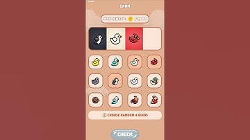 Bird daily combo 19 August 2024