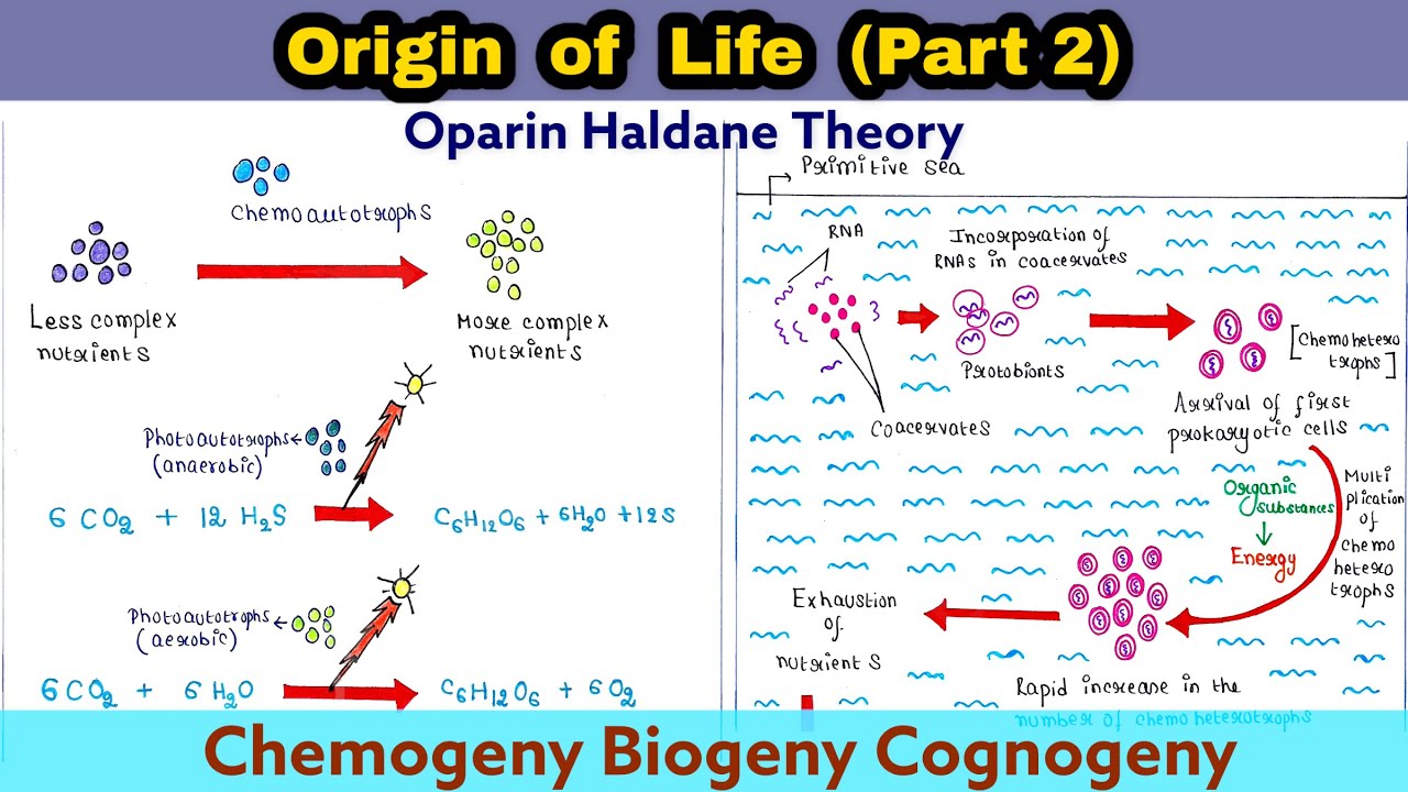 hypothesis of origin of life